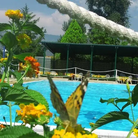 Girasole Sorrento